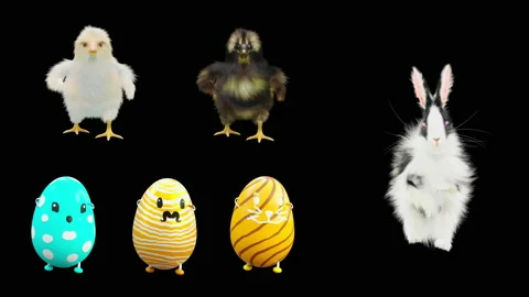 Easter, eggs, chick, rabbit, with Alpha matte. Stock Footage 172429542