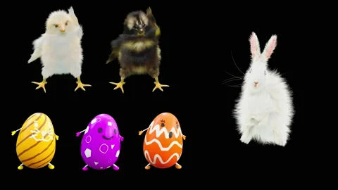 Easter, eggs, chick, rabbit, with Alpha matte. Stock Footage 179958527