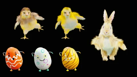 Easter, eggs, chick, rabbit, with Alpha matte. Stock Footage 179959675
