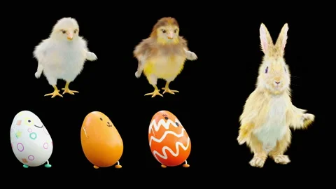 Easter, eggs, chick, rabbit, with Alpha matte. Stock Footage 179961354