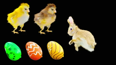 Easter, eggs, chick, rabbit, with Alpha matte. Stock Footage 179961770
