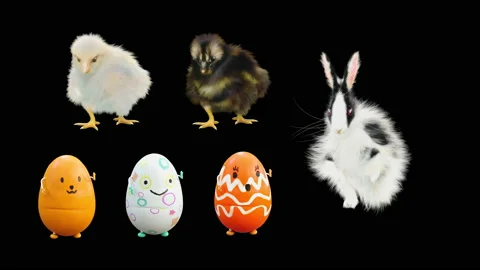 Easter, eggs, chick, rabbit, with Alpha matte. Stock Footage 179963164
