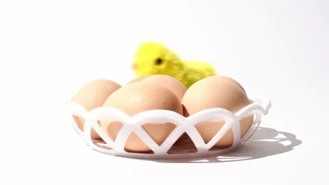 Easter eggs with chick toy on white background, studio shooting. Easter holiday Stock Footage 238534991