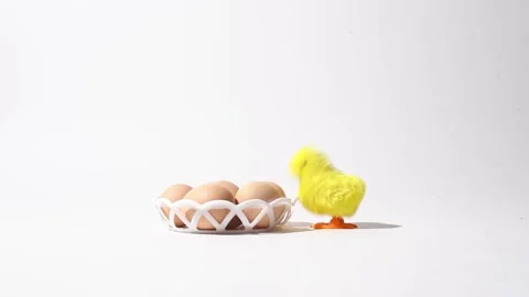 Easter eggs with chick toy on white background, studio shooting. Easter holiday Stock Footage 238857283