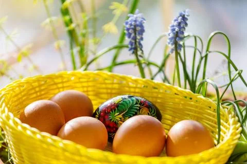 Easter eggs Close up Easter eggs in a basket. Spring easter background. Co... 写真素材