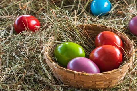 Easter eggs colored eggs nest eggs Stock Photos