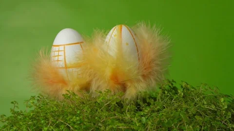 Easter eggs with colored feathers. Spring And Easter Background. Stock Footage 74107824