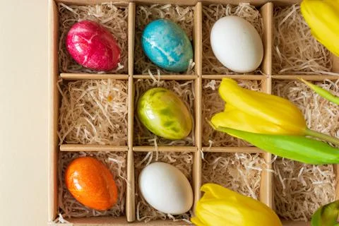 Easter eggs in a craft box and yellow tulips Stock Photos
