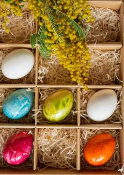 Easter eggs in a craft box and a sprig of mimosa Stock Photos