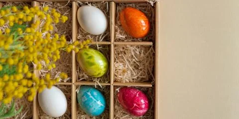Easter eggs in a craft box and a sprig of mimosa Stock Photos