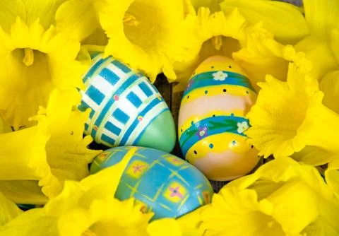 Easter eggs in daffodils Stock Photos