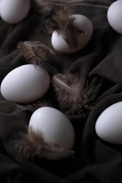 Easter eggs in dark mood concept light on black textile background with bird Stock Photos