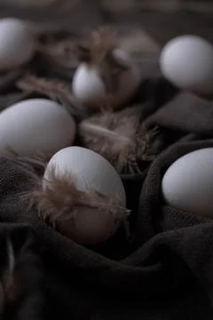 Easter eggs in dark mood concept light on black textile background with bird Stock Photos