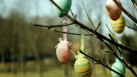 Easter eggs decorate branches Stock Footage 235166393