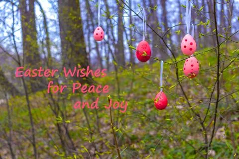 Easter eggs decorate trees with first leaves in forest to celebrate spring. U Stock Photos