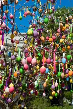 Easter eggs decorated on tree Stock Photos