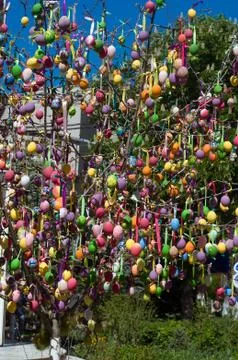 Easter eggs decorated on tree Stock Photos