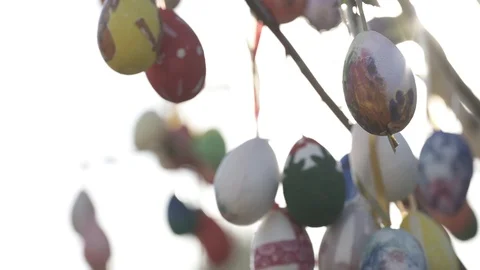Easter eggs decorating a tree, stock video Stock Footage 108499553