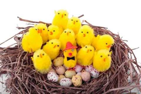 Easter eggs decorations on white Stock Photos