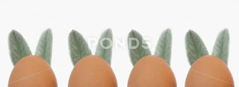 Easter eggs with ears close-up on a white background. Easter concept. Foto stock