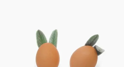 Easter eggs with ears close-up on a white background. Easter concept. Stock Photos