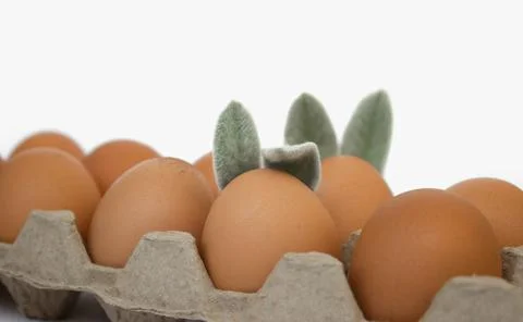Easter eggs with ears close-up on a white background. Easter concept. Stock Photos