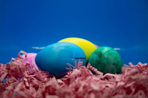 Easter Eggs In Easter Grass Foto stock