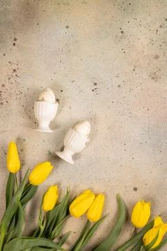 Easter eggs in eggcups with yellow tulips on concrete 库存照片
