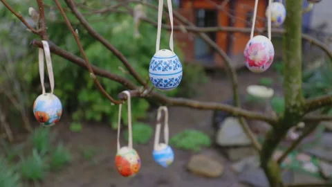 Easter eggs. Eggs are hung on a tree. Decorated eggs. Easter, holiday Stock Footage 237339129