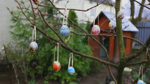 Easter eggs. Eggs are hung on a tree. Decorated eggs. Easter, holiday Stock Footage 237339166