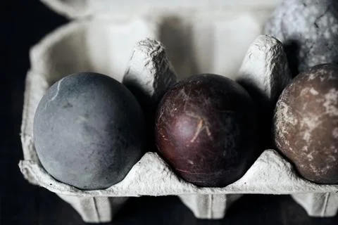 Easter eggs in eggs box, naturally dyed with red grape juice. Selective focus Stock Photos