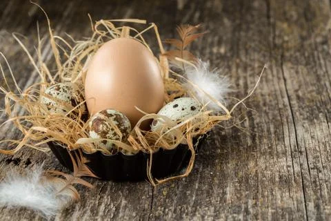 Easter eggs with feather on rustic  table Stock Photos