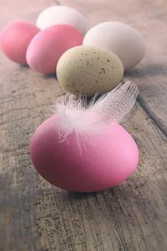 Easter eggs with feather on wooden table Stock Photos