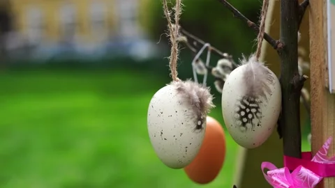Easter Eggs with feathers hanging from a Willow Branch 스톡 동영상 237630660