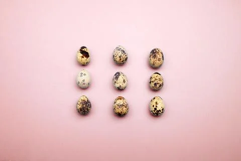 Easter eggs flat lay pattern on pastel background. Minimal concept 스톡 사진