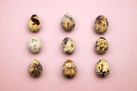Easter eggs flat lay pattern on pastel background. Minimal concept Stock Photos