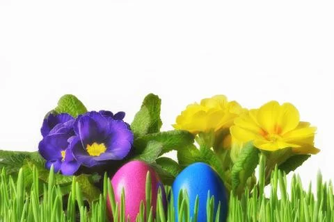 Easter eggs with flower and grass 스톡 사진