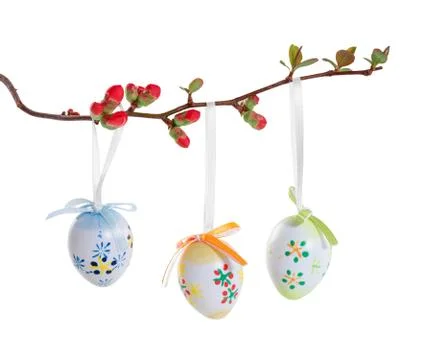 Easter eggs on a flowering branch Stock Photos