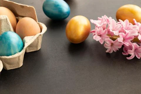 Easter eggs, flowers on dark background. Easter day. Stock Photos