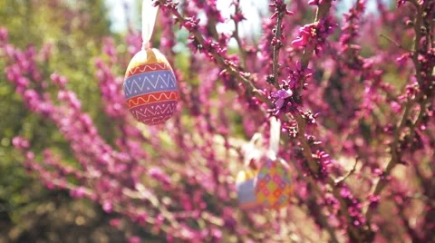 Easter Eggs Stock Footage 50613286