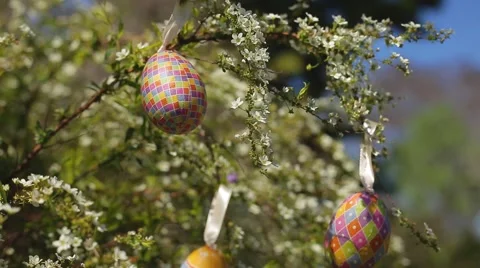 Easter Eggs Stock Footage 50613477