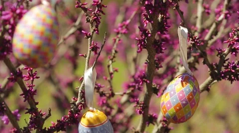 Easter Eggs Stock Footage 50613755