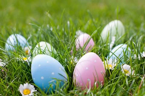 Easter eggs in a garden Stock Photos