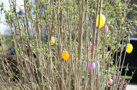 Easter eggs in the garden Stock Photos