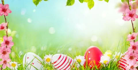 Easter eggs in grass and spring flowers background with pink cherry blossom.. Stock Photos