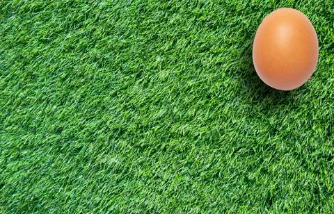 Easter eggs on grass for background Stock Illustration