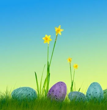 Easter eggs on grass with daffodils and colorful background Stock Photos