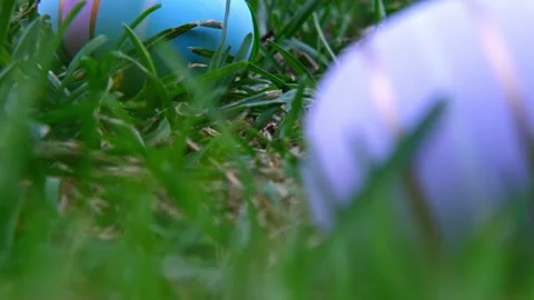 Easter eggs on the grass. Easter eggs slide down the slope covered Stock Footage 264996540
