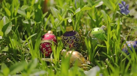 Easter Eggs in Grass Stock Footage 50613206
