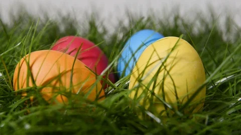 Easter eggs on grass Stock Footage 72711969